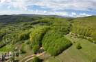 Proprietate exclusivă în inima naturii 13.700 mp cu pădure proprie - 3