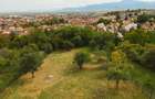 Teren Intravilan 3290 mp Codlea 3 Parcele - 2