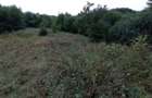 Proprietar-Vând două terenuri, unul de 7.100 mp, celălalt de 25.000 m2 - 6