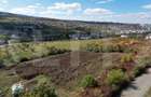 Oportunitate! Teren 3448 mp Borhanci – Zonă în Plină Dezvoltare - 6