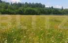Teren 10.000 mp, intravilan, zona Neagra Sarului - 2