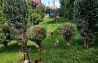 Apartament spatios in vila situat in Codlea - 20