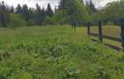 Teren intravilan de vanzare Predeal - 7