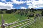 Teren de 14318m.p. în Paltinis, la 100m de strada Principala - 4