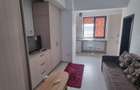 Pacurari Concept Residence, 2 camere open space, 420euro/luna - 4