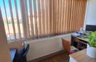 !! 3 Camere model mare.. zona Timocului-A. Saguna vedere spre Bega - 7