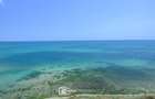 ✅Dezvoltator: Studio cu vedere frontală la mare - Evergreen Costinești - 12