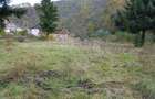 Teren intravilan ideal si de investitie, in Loc. Resita, strada Ciresului - 10
