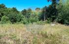 Teren 3,871mp Varmaga / None - 9
