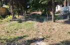 Casă renovată cu farmec istoric, livadă și 3.600 mp de teren | Teiș - 19