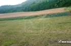 Teren Corpadea, intravilan, pretabil proiect imobiliar, 8700 mp - 3