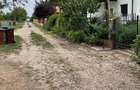 Vand teren intravilan 3774 mp Pădurea Scrovistea Peris Balteni - 2