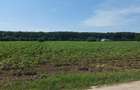 8.500 mp, cu deschidere la padure, dublă deschidere, Snagov –Ghermanesti - 7