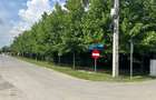 TEREN LOCUINTE COLECTIVE SI FUNCTIUNI COMPLEMENTARE - 3