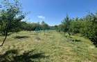 Royal Imobiliare-Vanzare Vila Zona Romanesti - 27