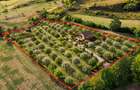 VIDEO | Super view | Teren 8.500 m² in Maramures | Viitorul tau colt de liniste
