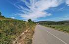Teren intravilan 5.800 mp, Baciu Vatra Satului Vechi, Panorama superba - 23