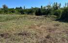 Teren cu deschidere la lac strada Orhideelor- conectare imediata la curent