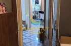 3 camere Brancoveanu Izvorul Crisului liber loc parcare