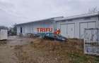 Oportunitate de Achiziție: Spațiu Industrial în Alba Iulia - 3