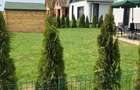 Vila individuala, 4 camere  Strada Asfaltata - Comuna Berceni - 7