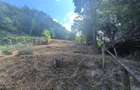 Resita Casa individuala, P+Pod, Zona Lend, 565 mp, Comision ZERO Cumparator - 29