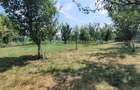 Teren 3100 mp cabana potential investitional Sura Mica Sibiu - 16