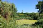 🏡 Casă de vânzare – Lunca Cetățuii, comuna Ciurea - 4
