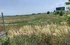 Teren intravilan, zona industriala - 1