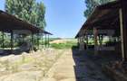 Spatiu industrial, 3200 mp, 32.0000 mp teren, zona Raducaneni - 9
