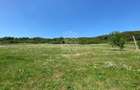 Teren 11.000 mp-ideal cabana/ferma-Unirea-Valea Slatinitei - 7