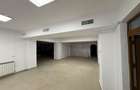 Spatiu comercial ultracentral Piata Mare - 3