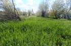Teren intravilan 1000 mp | Ultracentral | Toate utilitățile | Alba Iulia - 2