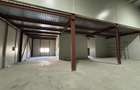 Vanzare depozit/hala/spatiu industrial Theodor Pallady - Drumul Intre Tarlale - - 10