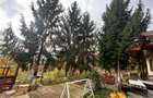 Casă modernă cu priveliște panoramică – ideală pentru investiție turistică - 12