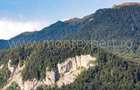 Teren Busteni, Piatra Arsa, de Vanzare. Vedere Superba Spre Muntii Bucegi. - 4