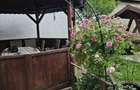Vand casa 3 camere ARIUSD - 19