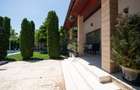 Casa de vanzare P+M Premium, piscina, teren 2224mp Bacu, Ilfov - 3