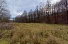 Resita, Teren Drept Intravilan, Langa Prau si Drum, Parcelabil, 4500 Mp., 15 Eur - 9
