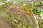 Teren 3000 mp în Snagov – zonă in dezvoltare, aproape de pădure - 8
