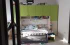 Vanzare apartament 3 camere Bucuresti Noi - 10