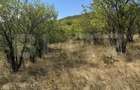 Teren intravilan de vanzare, 1.400 mp, zona Viile Noi - 1