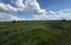 💎 15-50 ha, parcelat, Mihailesti Giurgiu - 3