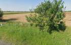 Teren Intravilan, 17500 mp, Sag, Timis, DN69 - 5