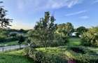 Hotel 20 camere Delta Dunarii 50 m deschidere teren 6000 mp acces auto - 57