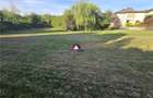 Vila 6 camere Snagov - 6