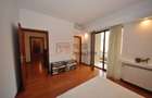 Apartament spatios 3 camere Piata Victoriei - Mihail Moxa - 17