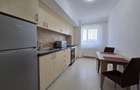Apartament tip sudio cu parcare subterana si boxa Vasile Goldis - 16