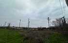 Teren 157.000mp Mogosesti | Giurgiu - 6