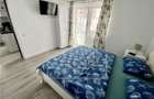Pensiune cu 4 apartamente - SPA, ideal investitie | Terezian - 9